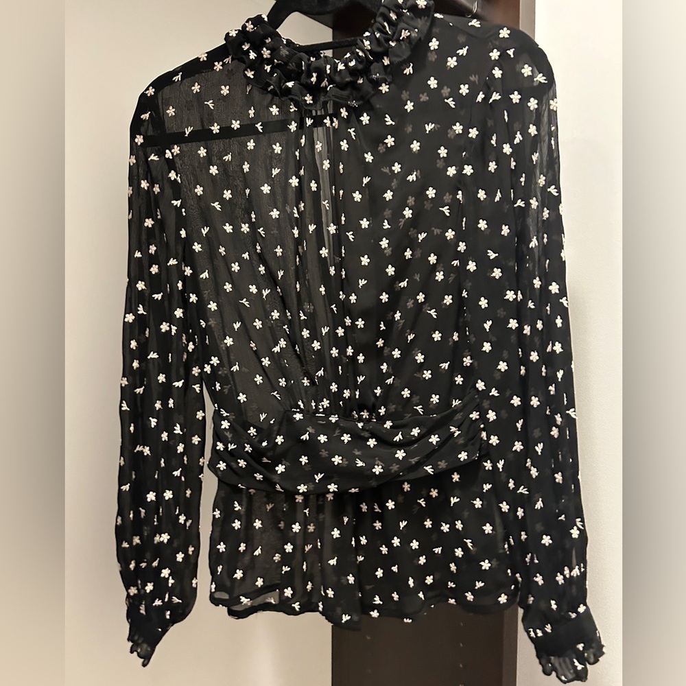 Sheer Zara Blouse with open back detail